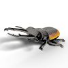 Imagen del modelo ensamblado Eugy Stag Beetle, mostrando su diseño tridimensional realista con detalles intrincados. Una pieza que combina diversión educativa y decoración única.