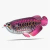 Eugy Marinos Eco-Friendly 3D Puzzle - Imagen 7