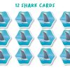 Juego Squish It! - FLEXIQ +6 - Imagen 3